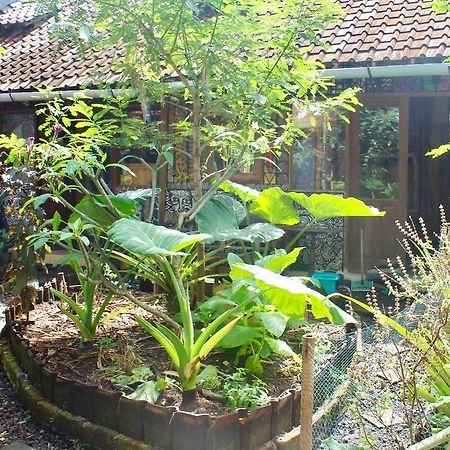 Farmer'S Yard Hostel Чангу Екстер'єр фото